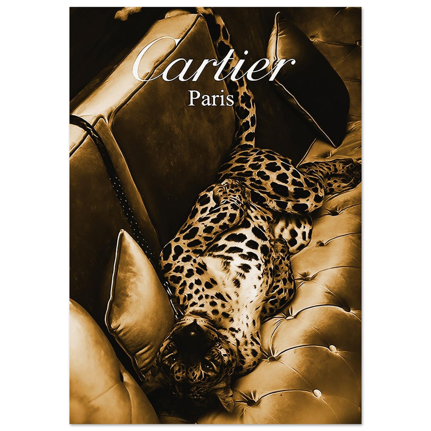 63d649a5-8ecf-4ded-8e0e-2653c1a078b8