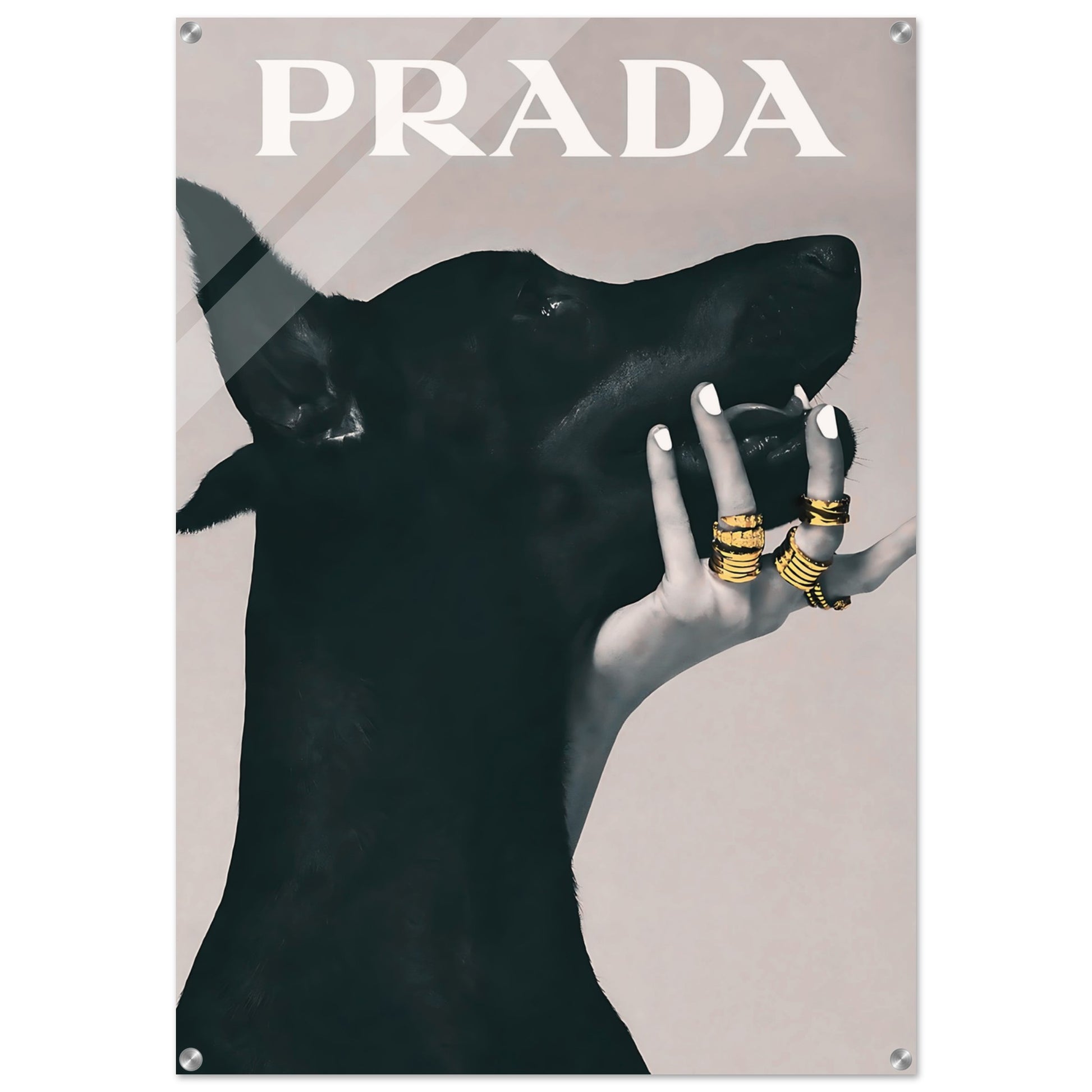 08fed96f-279b-4755-ab1e-f5456f69f5ca