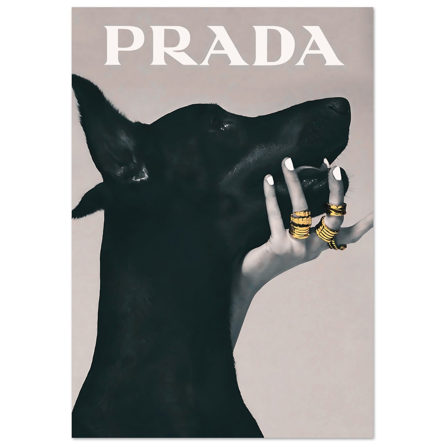 7f3a28ec-419e-4ebd-990c-3c7e83d28435