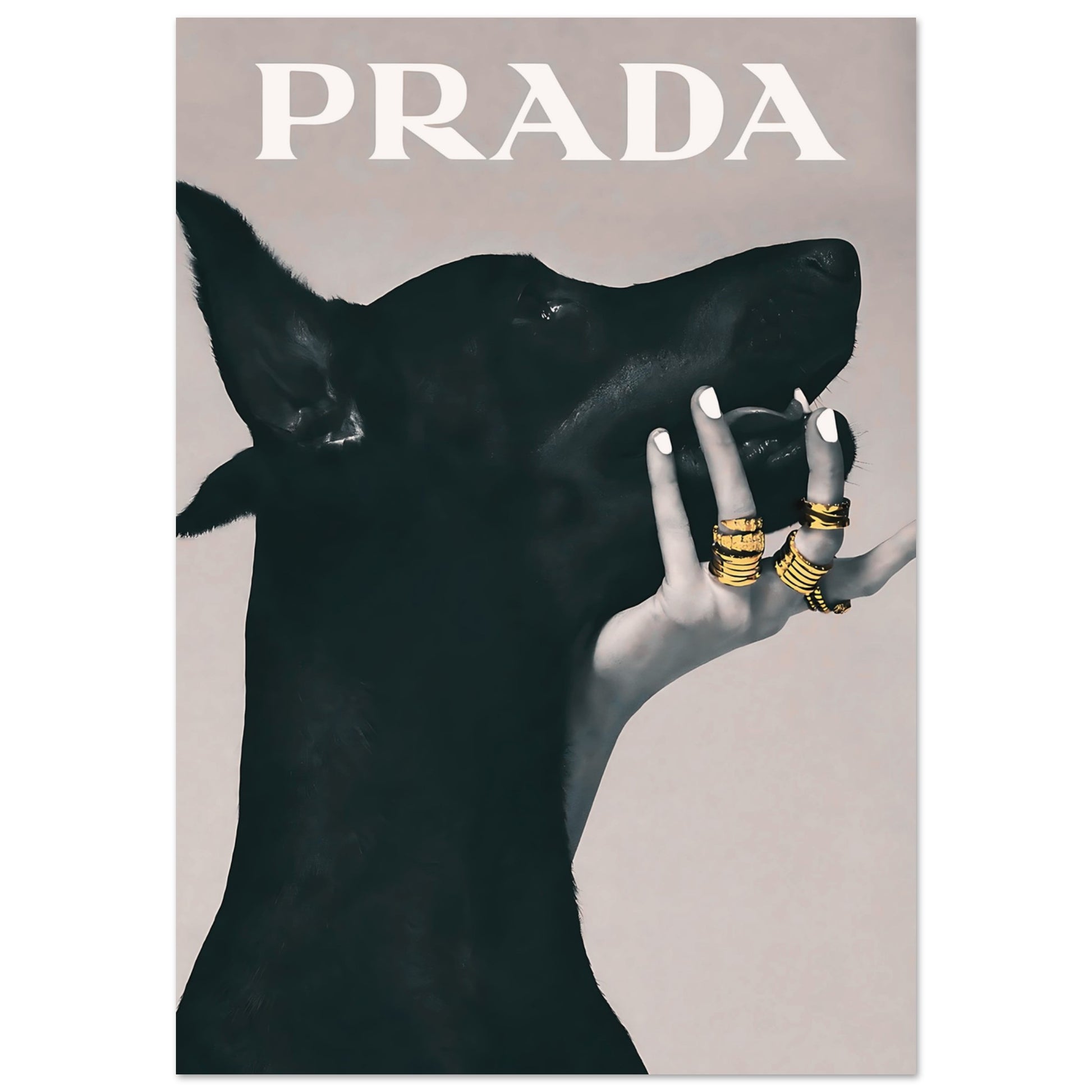 7f3a28ec-419e-4ebd-990c-3c7e83d28435