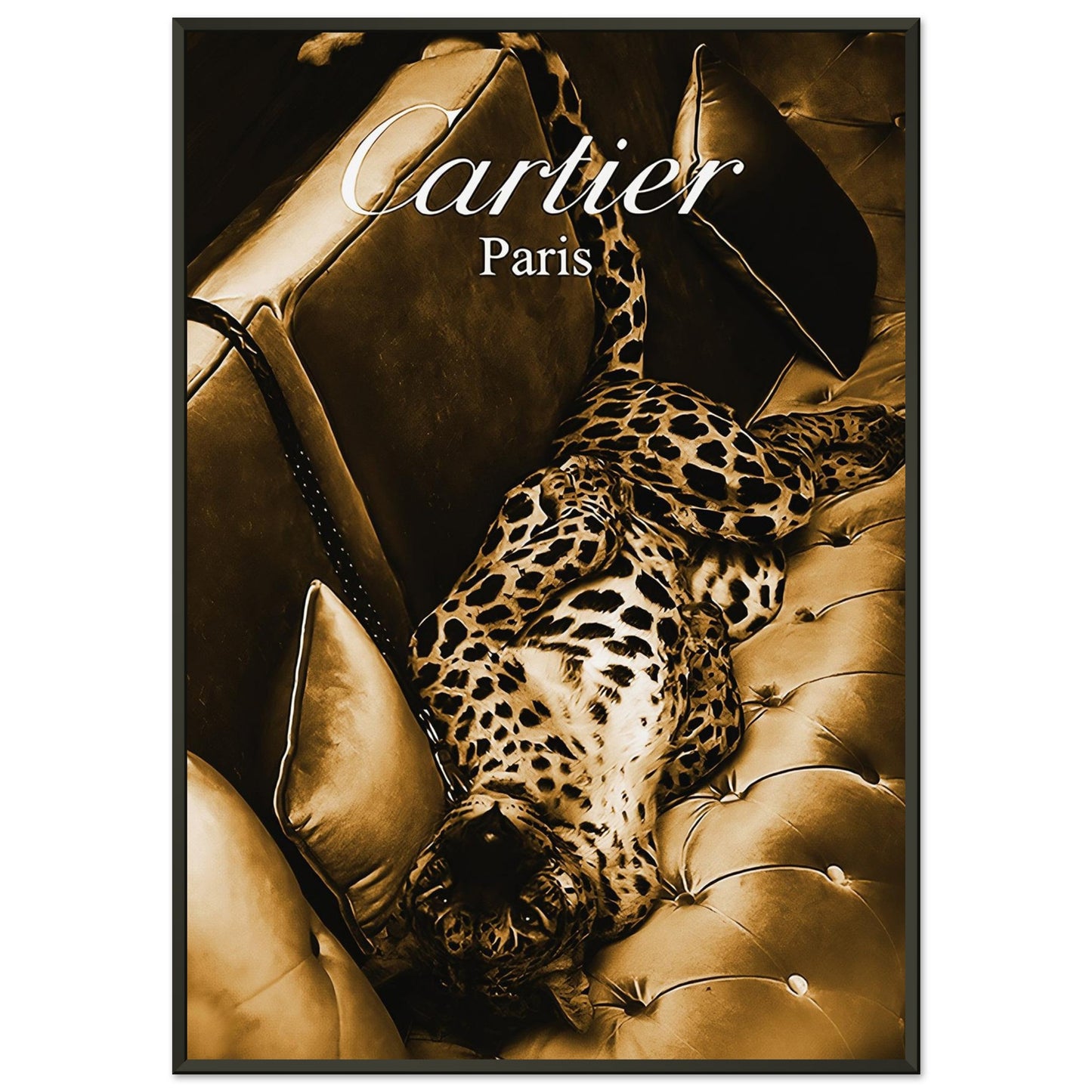 8b13df8d-560f-46fd-9f4d-51e63b25b8b1