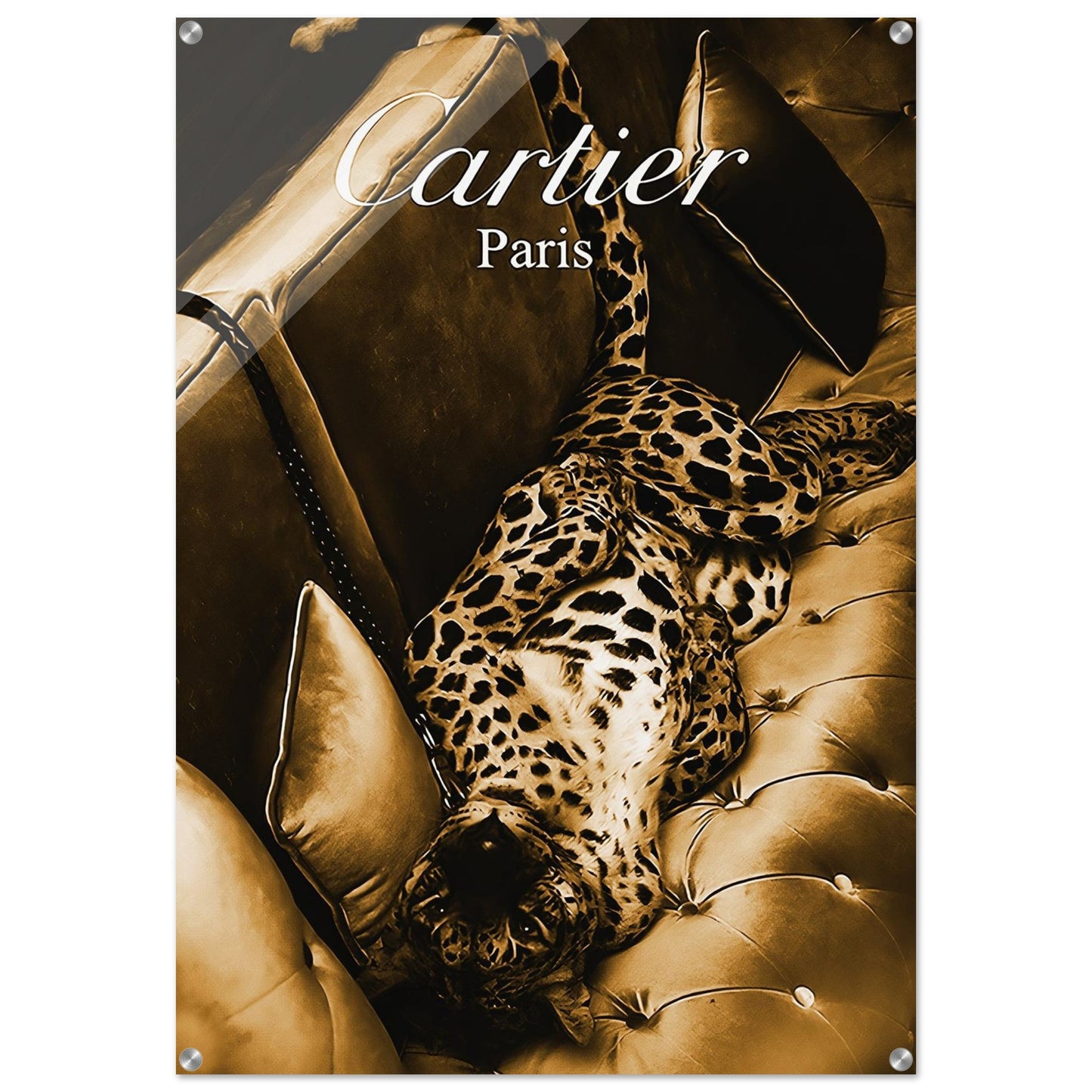 f44bb20f-6c13-402b-b3ab-f2896e192bc1